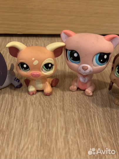 Littlest Pet Shop