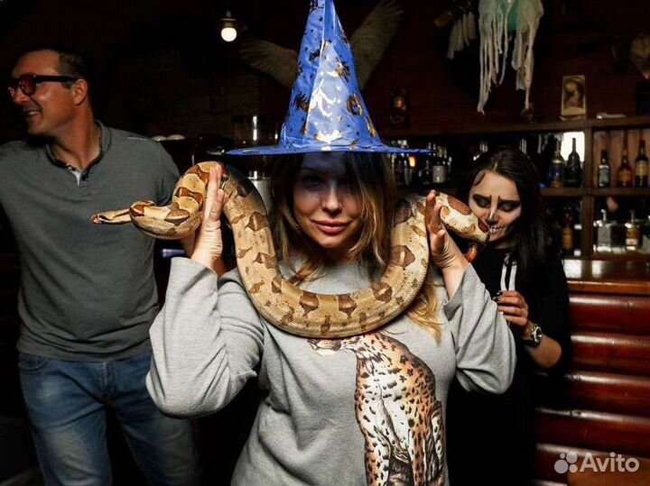 Змея для фотосессии