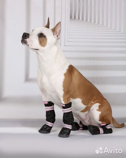 Сапожки для собак