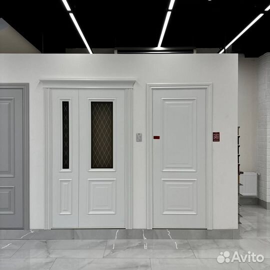 Двери дизайнерские y-6362