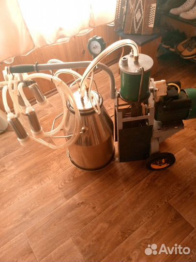 Доильный аппарат для коров