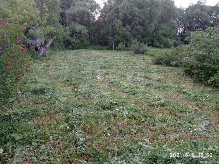 Участок 5 сот. (ИЖС)