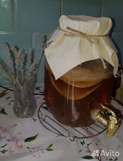 Чайный гриб, молочный гриб