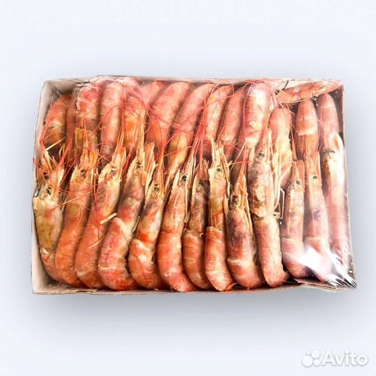 Креветка лангустин