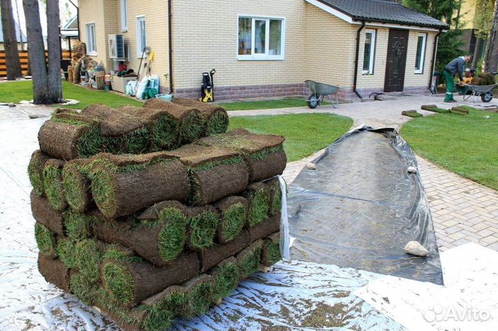 Рулонный газон от производителя - укладка