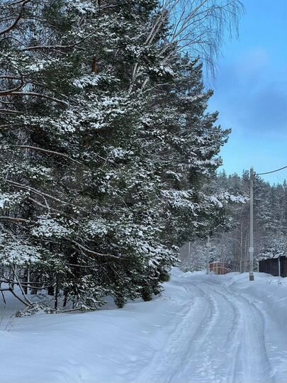 Участок 20 сот. (ИЖС)