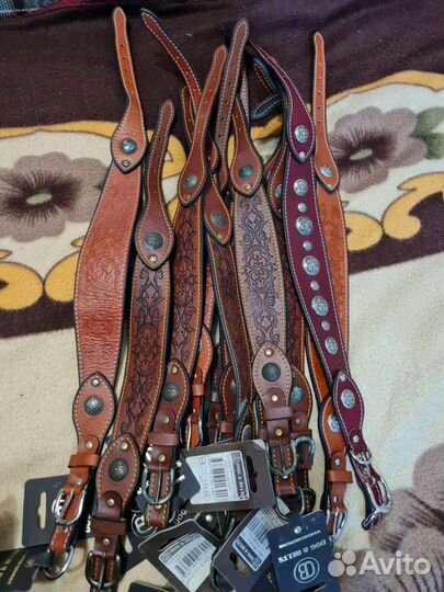 Ошейник для собак