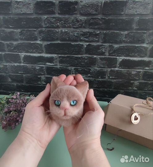 Котик В рамке