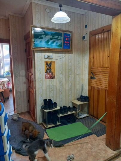 3-к. квартира, 63,5 м², 2/2 эт.