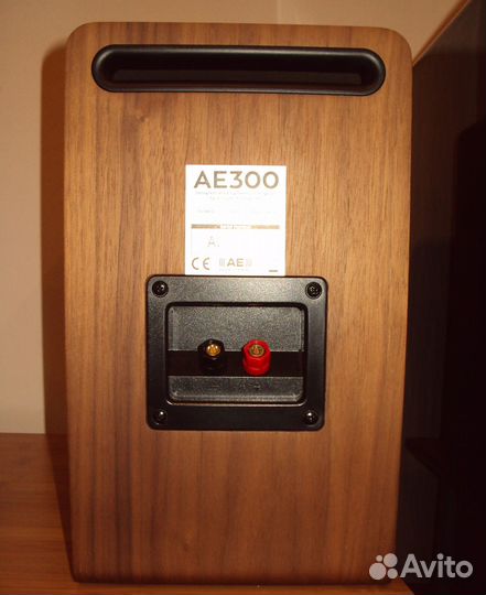 Полочная акустика Acoustic Energy AE300