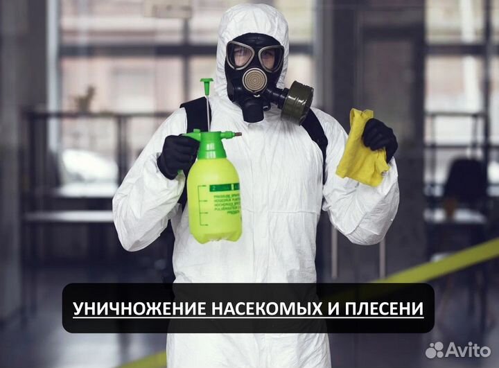 Уничтожение насекомых: клопов тараканов Геленджик