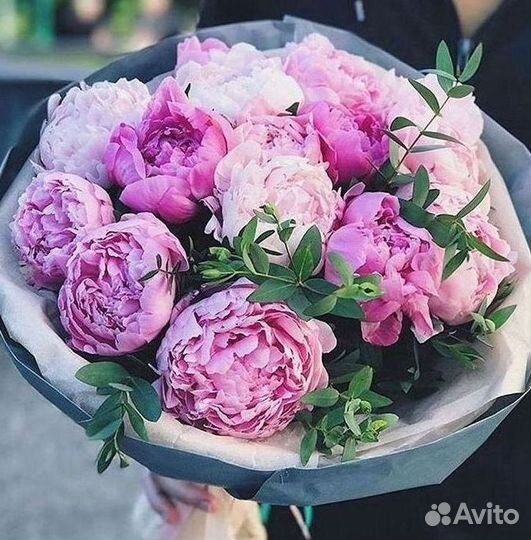 Пионы Букеты Цветы Доставка