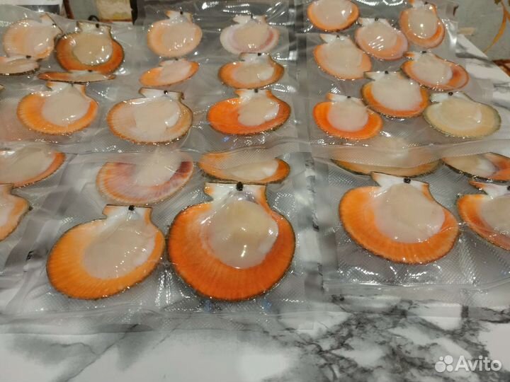 Морской гребешок в вакууме