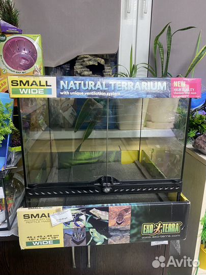 Террариум новый