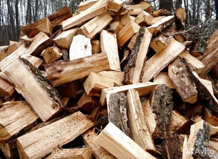 Кора березы