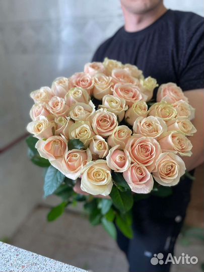 Розы голландия. Букет 25 роз