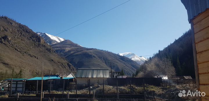 Квадроцикл прокат аренда
