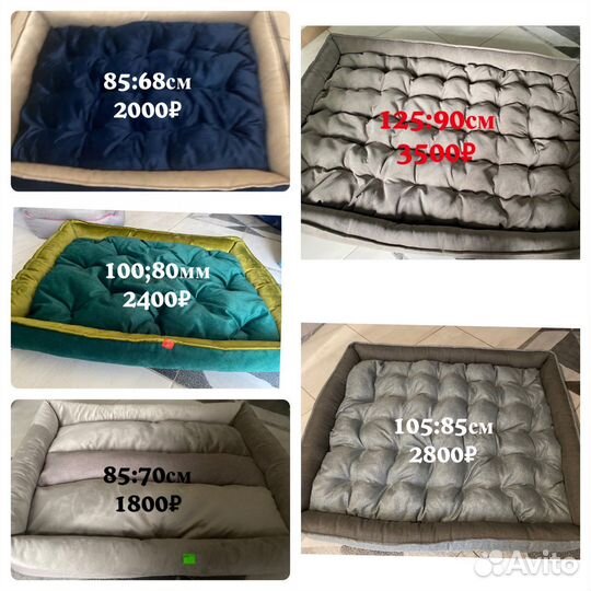 Для кошек и собак