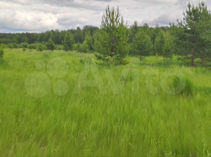 Участок 21 сот. (ИЖС)
