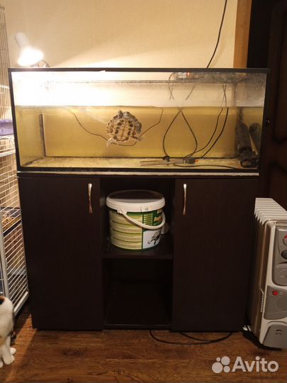 Аквариум