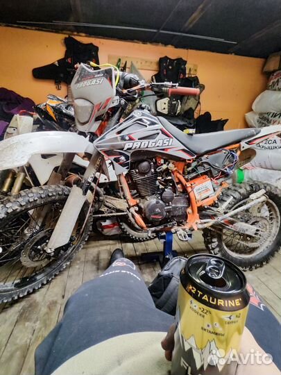 Продажа / обмен progasi palma 250