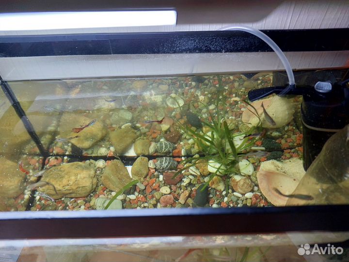Аквариум с рыбками