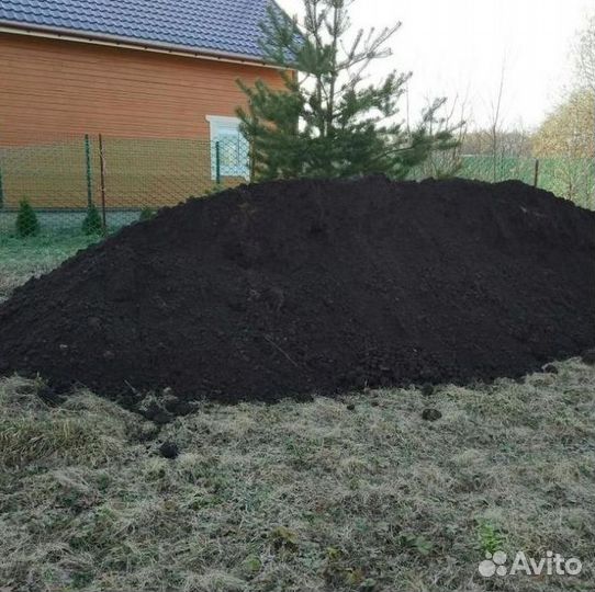 Чернозём
