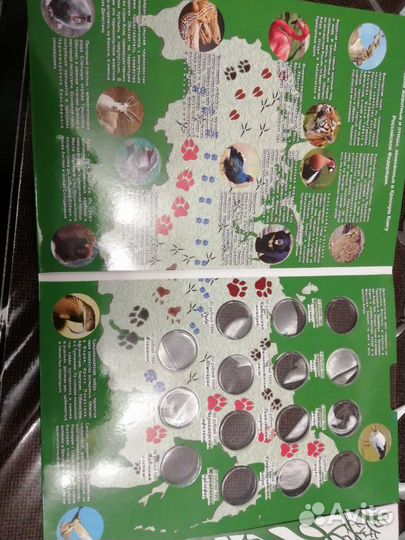 Альбомы для монет