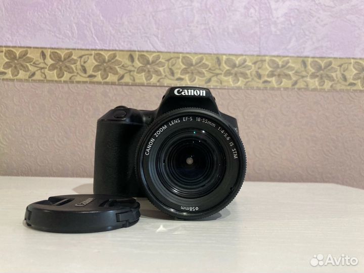 Зеркальный фотоаппарат Canon eos 250d 18-55 kit