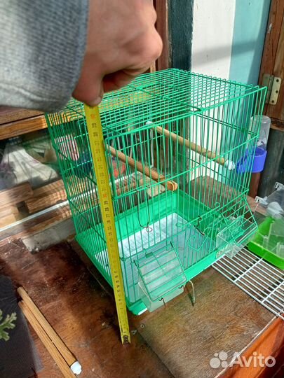 Клетка для канарейки или попугая