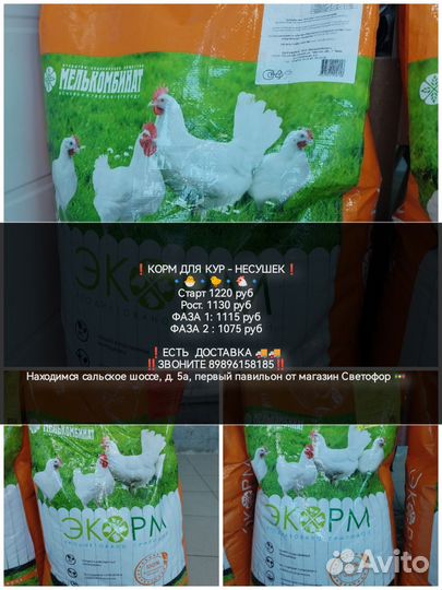 Корма для животных, собак, кошек, кур, перепелов