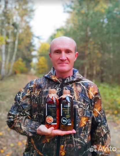 Гриб кордицепс на масле веселка лисичка мед шиитак