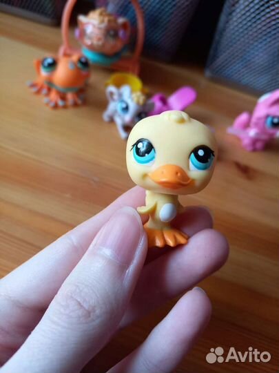 Littlest Pet Shop