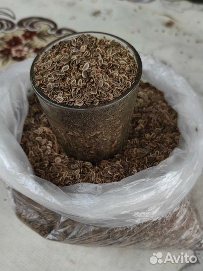 Семена укропа