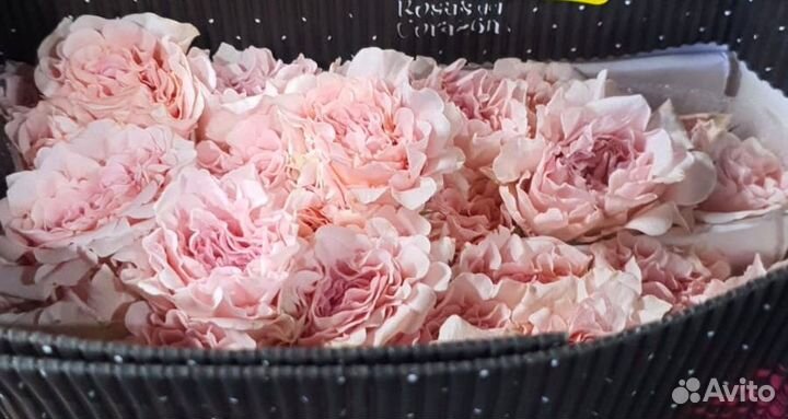 Поставка цветы оптом