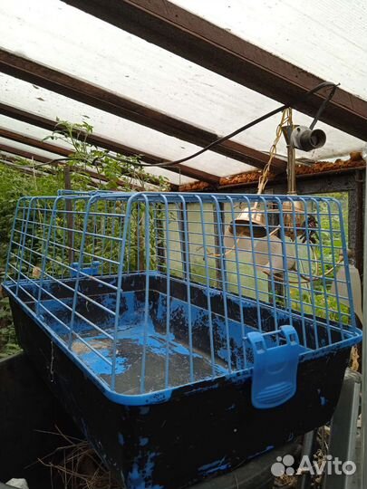 Клетка для грызунов бу