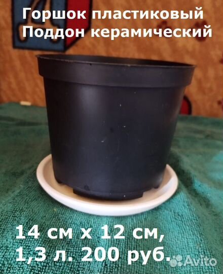 Цветочные горшки и поддоны