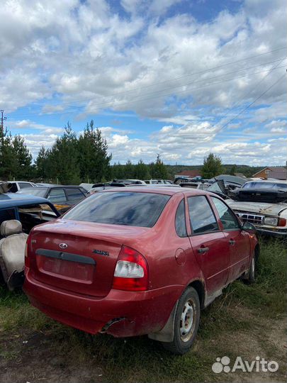 Калина разбор