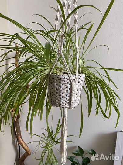 Кашпо подвесное макраме натуральный хлопок