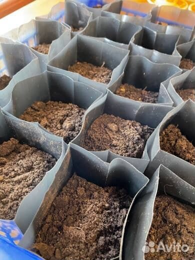 Пакеты для рассады 0,5 литра