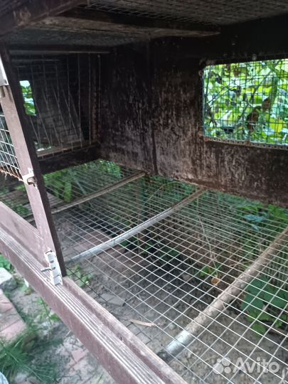 Клетка для кроликов