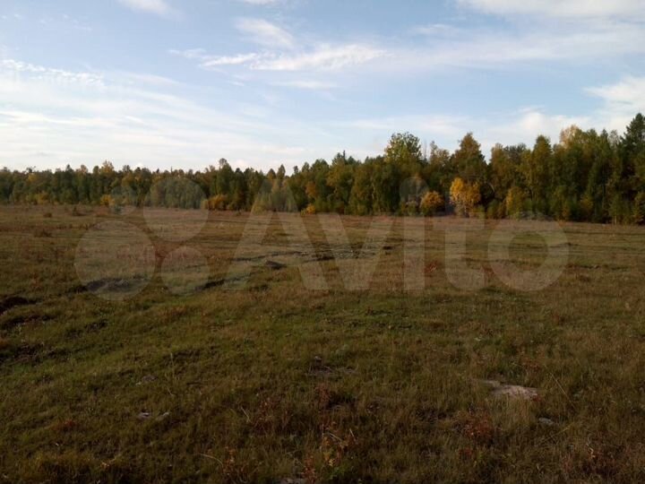 Участок 1,25 га (ИЖС)