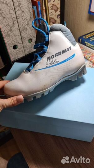 Лыжные ботинки nordway 37