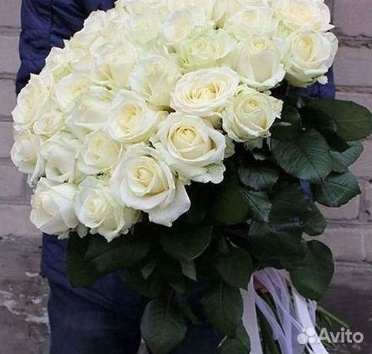 Высокие розы Гигантские Розы 150 160 170 180 190см