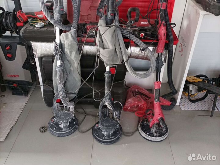 Прокат жираф