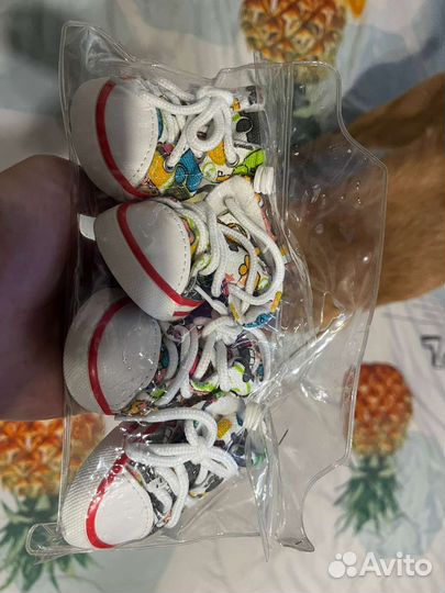 Одежда для собак