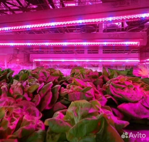 Лампа для растений