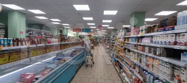 Стабильный арендный бизнес с Пятерочкой