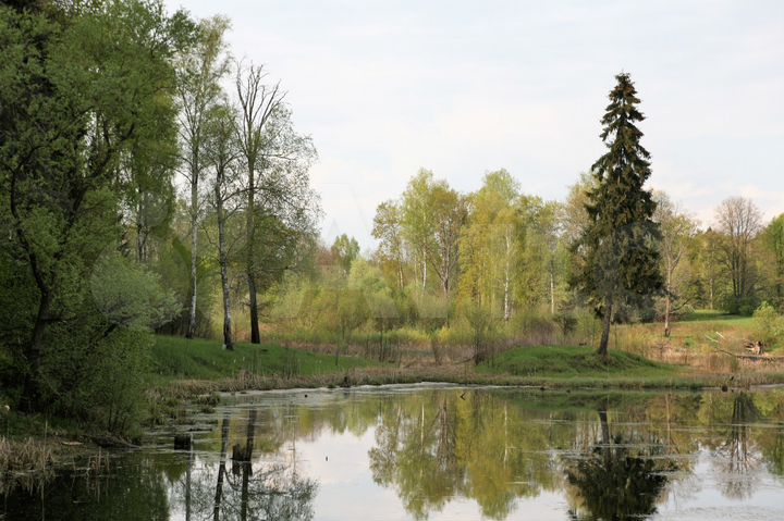 Участок 7,42 га (СНТ, ДНП)