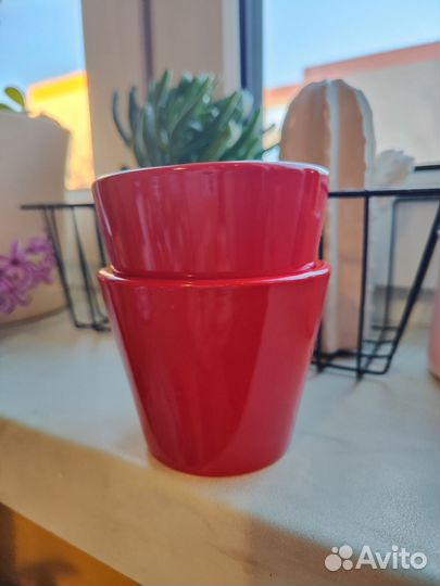 Горшок для цветов кактусница